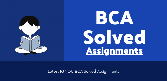 ignou bca project synopsis example